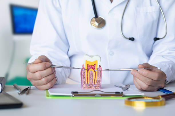 Best Pediatric Emergency Dentist in Clintonville, WI